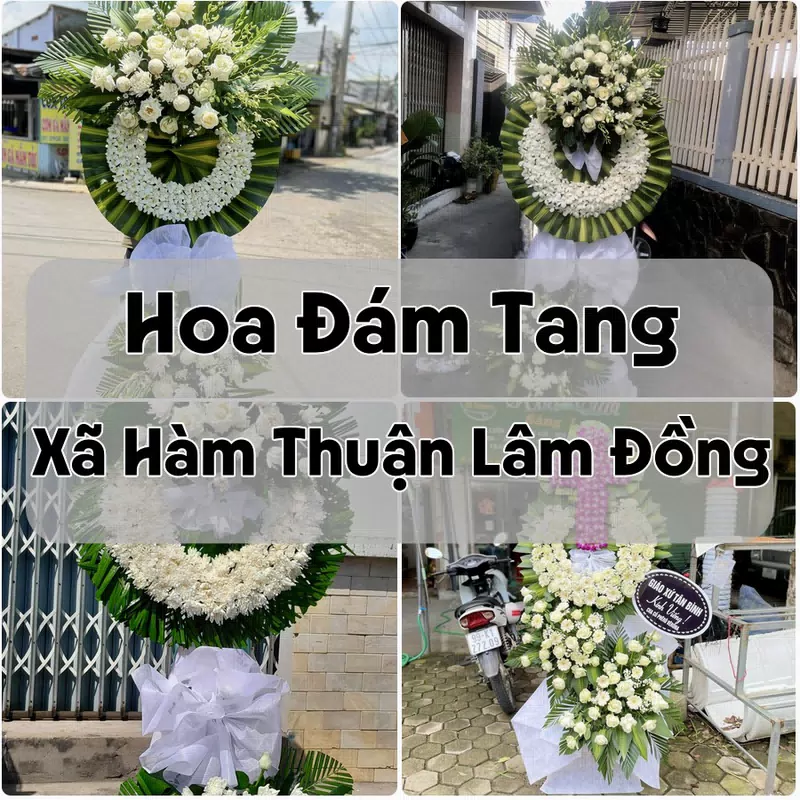 Đặt Hoa Đám Tang Xã Hàm Thuận Lâm Đồng | Hoa Tang Lễ