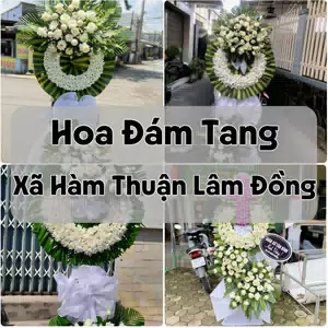 Đặt Hoa Đám Tang Xã Hàm Thuận Lâm Đồng | Hoa Tang Lễ