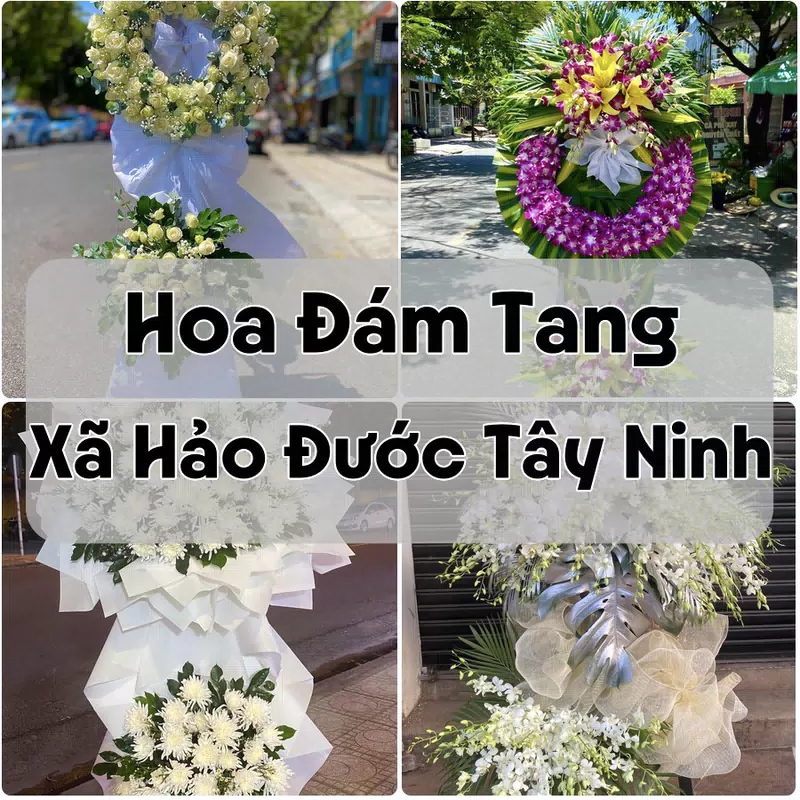 Đặt Hoa Đám Tang Xã Hảo Đước Tây Ninh | Đặt Hoa Viếng