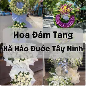 Đặt Hoa Đám Tang Xã Hảo Đước Tây Ninh | Đặt Hoa Viếng