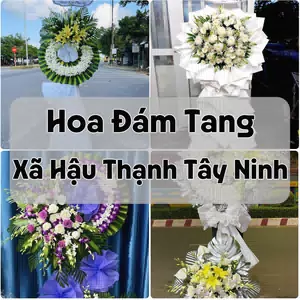 Đặt Hoa Đám Tang Xã Hậu Thạnh Tây Ninh | Hoa Chia Buồn