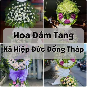 Đặt Hoa Đám Tang Xã Hiệp Đức Đồng Tháp | Giao Tận Nơi