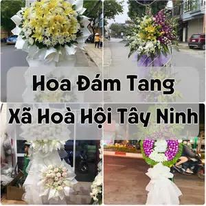 Đặt Hoa Đám Tang Xã Hoà Hội Tây Ninh | Giao Tận Nơi