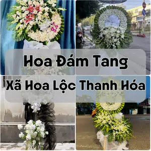 Đặt Hoa Đám Tang Xã Hoa Lộc Thanh Hóa | Giao Tận Nơi