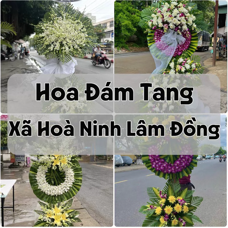 Đặt Hoa Đám Tang Xã Hoà Ninh Lâm Đồng | Giao Tận Nơi