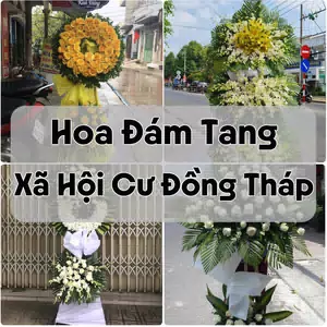Đặt Hoa Đám Tang Xã Hội Cư Đồng Tháp | Đặt Hoa Nhanh