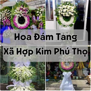 Đặt Hoa Đám Tang Xã Hợp Kim Phú Thọ | Đặt Hoa Nhanh