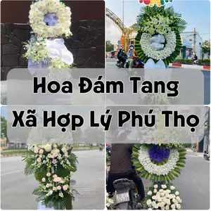 Đặt Hoa Đám Tang Xã Hợp Lý Phú Thọ | Đặt Hoa Viếng