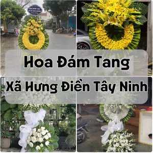 Đặt Hoa Đám Tang Xã Hưng Điền Tây Ninh | Giao Hoa Nhanh