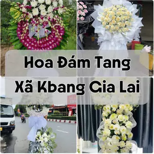 Đặt Hoa Đám Tang Xã Kbang Gia Lai | Hoa Tang Lễ