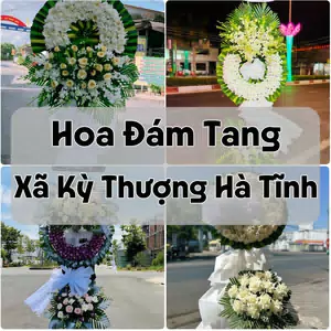 Đặt Hoa Đám Tang Xã Kỳ Thượng Hà Tĩnh | Giao Tận Nơi