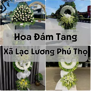 Đặt Hoa Đám Tang Xã Lạc Lương Phú Thọ | Hoa Tang Lễ