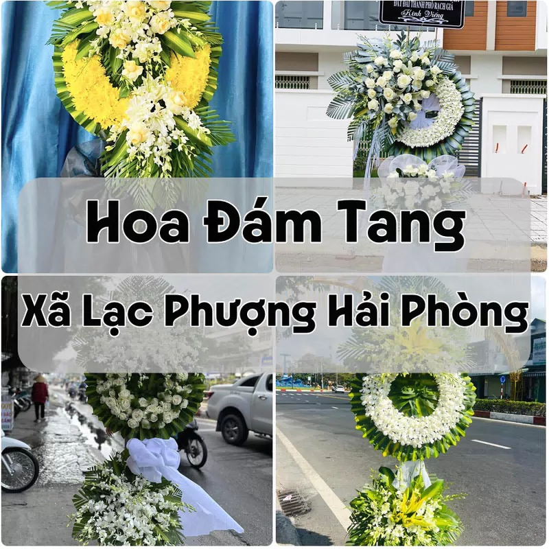Đặt Hoa Đám Tang Xã Lạc Phượng Hải Phòng | Hoa Tang Lễ