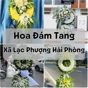 Đặt Hoa Đám Tang Xã Lạc Phượng Hải Phòng | Hoa Tang Lễ