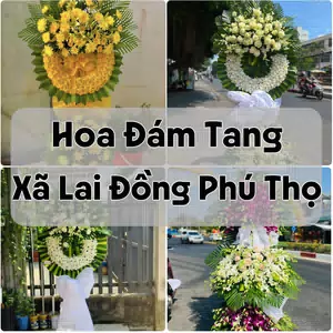 Đặt Hoa Đám Tang Xã Lai Đồng Phú Thọ | Giao Hoa Nhanh