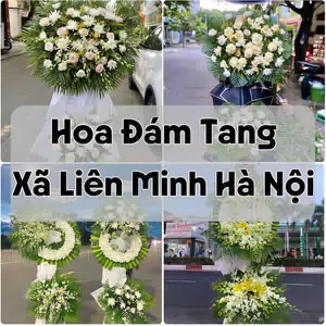 Đặt Hoa Đám Tang Xã Liên Minh Hà Nội | Đặt Hoa Viếng