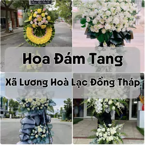 Đặt Hoa Đám Tang Xã Lương Hoà Lạc Đồng Tháp | Đặt Hoa Nhanh