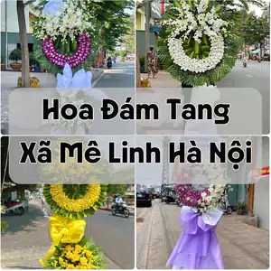 Đặt Hoa Đám Tang Xã Mê Linh Hà Nội | Đặt Hoa Nhanh