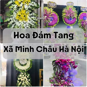 Đặt Hoa Đám Tang Xã Minh Châu Hà Nội | Giao Tận Nơi