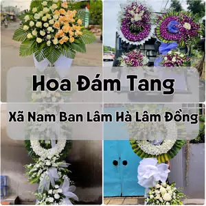 Đặt Hoa Đám Tang Xã Nam Ban Lâm Hà Lâm Đồng | Hoa Chia Buồn