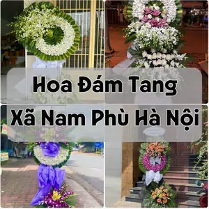 Đặt Hoa Đám Tang Xã Nam Phù Hà Nội | Hoa Chia Buồn