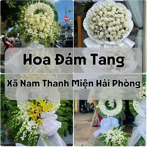Đặt Hoa Đám Tang Xã Nam Thanh Miện Hải Phòng | Hoa Chia Buồn