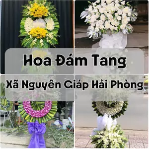 Đặt Hoa Đám Tang Xã Nguyên Giáp Hải Phòng | Đặt Hoa Viếng