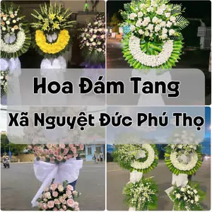 Đặt Hoa Đám Tang Xã Nguyệt Đức Phú Thọ | Đặt Hoa Viếng