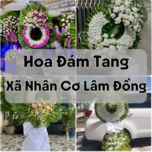 Đặt Hoa Đám Tang Xã Nhân Cơ Lâm Đồng | Giao Hoa Nhanh