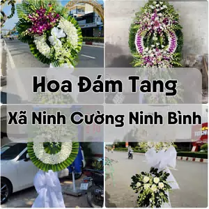 Đặt Hoa Đám Tang Xã Ninh Cường Ninh Bình | Hoa Tang Lễ