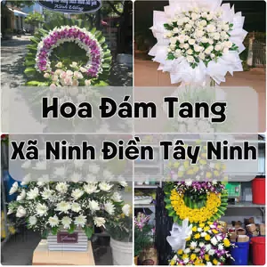 Đặt Hoa Đám Tang Xã Ninh Điền Tây Ninh | Đặt Hoa Nhanh