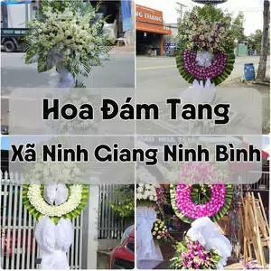 Đặt Hoa Đám Tang Xã Ninh Giang Ninh Bình | Giao Tận Nơi