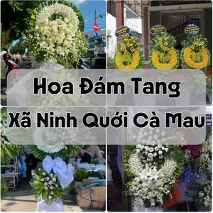 Đặt Hoa Đám Tang Xã Ninh Quới Cà Mau | Giao Tận Nơi