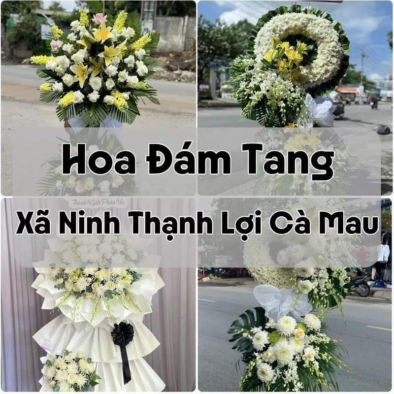 Đặt Hoa Đám Tang Xã Ninh Thạnh Lợi Cà Mau | Đặt Hoa Nhanh