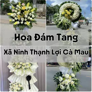Đặt Hoa Đám Tang Xã Ninh Thạnh Lợi Cà Mau | Đặt Hoa Nhanh