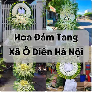 Đặt Hoa Đám Tang Xã Ô Diên Hà Nội | Đặt Hoa Nhanh