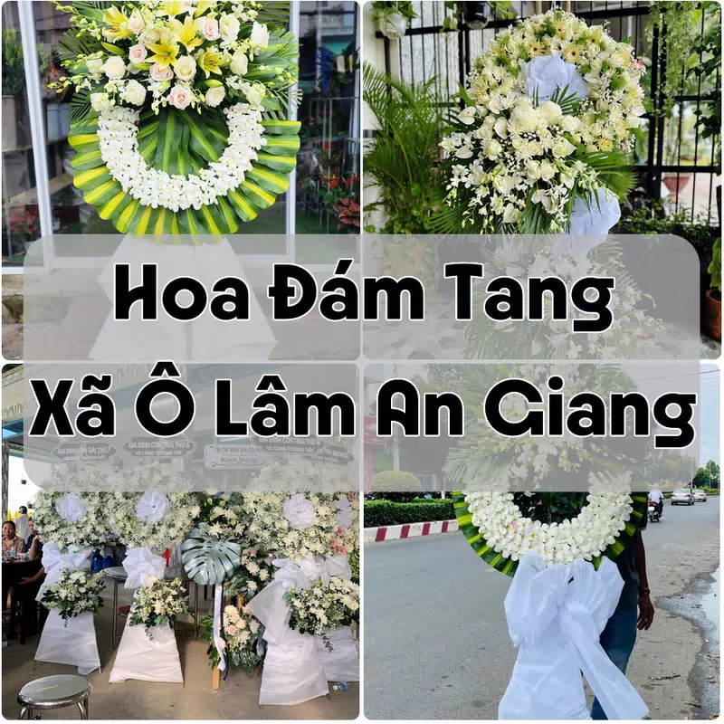 Đặt Hoa Đám Tang Xã Ô Lâm An Giang | Giao Tận Nơi