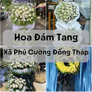Đặt Hoa Đám Tang Xã Phú Cường Đồng Tháp | Giao Tận Nơi