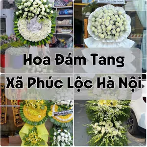 Đặt Hoa Đám Tang Xã Phúc Lộc Hà Nội | Giao Tận Nơi
