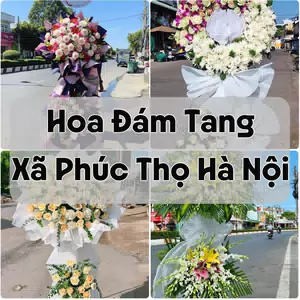 Đặt Hoa Đám Tang Xã Phúc Thọ Hà Nội | Hoa Chia Buồn