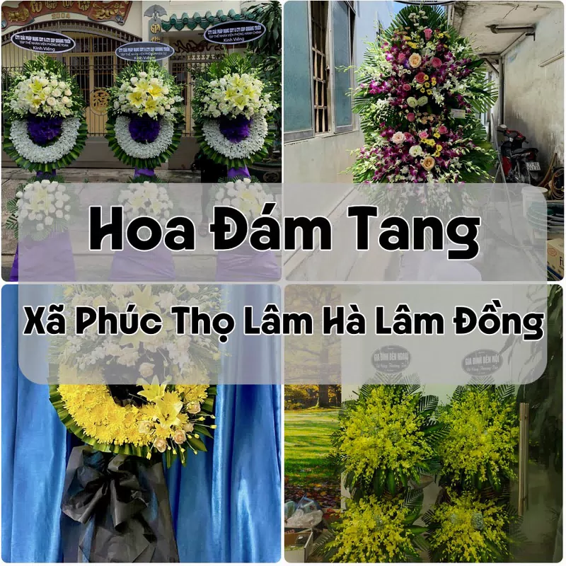 Đặt Hoa Đám Tang Xã Phúc Thọ Lâm Hà Lâm Đồng | Giao Tận Nơi