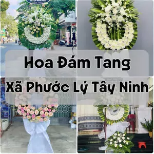 Đặt Hoa Đám Tang Xã Phước Lý Tây Ninh | Hoa Chia Buồn