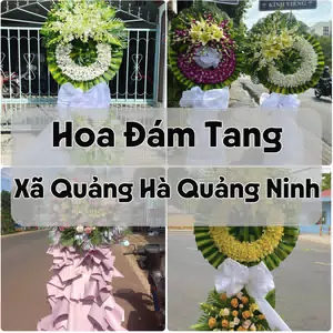 Đặt Hoa Đám Tang Xã Quảng Hà Quảng Ninh | Đặt Hoa Viếng