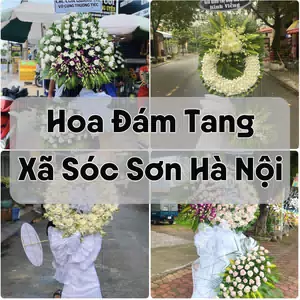 Đặt Hoa Đám Tang Xã Sóc Sơn Hà Nội | Hoa Chia Buồn
