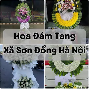Đặt Hoa Đám Tang Xã Sơn Đồng Hà Nội | Hoa Chia Buồn