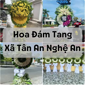 Đặt Hoa Đám Tang Xã Tân An Nghệ An | Hoa Chia Buồn