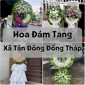 Đặt Hoa Đám Tang Xã Tân Đông Đồng Tháp | Đặt Hoa Viếng