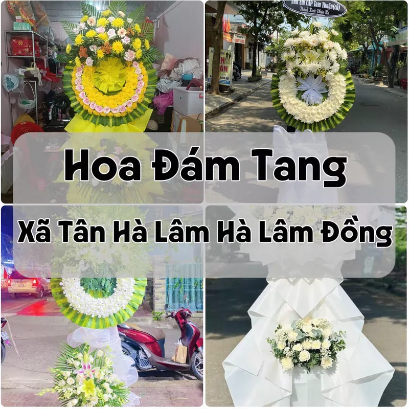 Đặt Hoa Đám Tang Xã Tân Hà Lâm Hà Lâm Đồng | Đặt Hoa Nhanh
