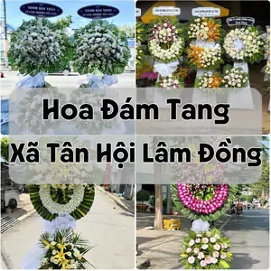 Đặt Hoa Đám Tang Xã Tân Hội Lâm Đồng | Giao Tận Nơi