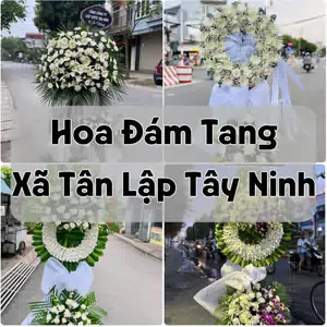 Đặt Hoa Đám Tang Xã Tân Lập Tây Ninh | Đặt Hoa Nhanh